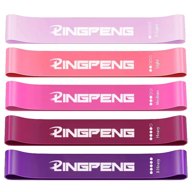 Premium Resistance Bands Set (5 PCS)
