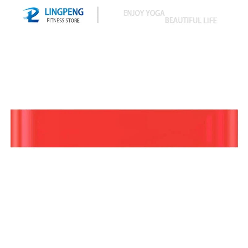 Premium Resistance Bands Set (5 PCS)